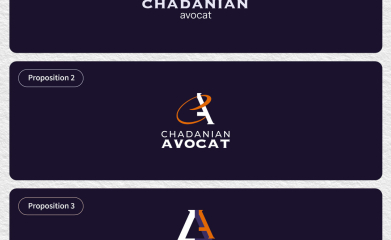 Antoine Chadanian : Site vitrine, Identit&eacute; visuelle, Couverture LinkedIn image 