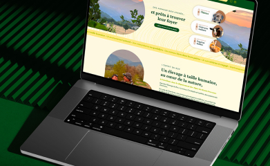 &Eacute;levage du Roc : Maquette du site internet image 